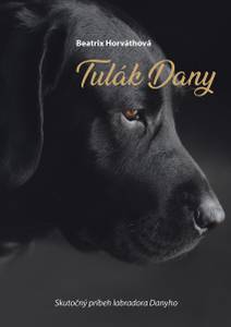 Obálka Tulák Dany