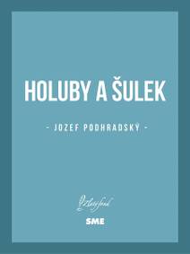 Obálka Holuby a Šulek