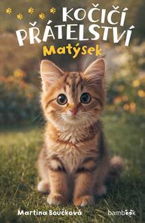 Obálka Kočičí přátelství - Matýsek
