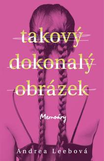 Obálka Takový dokonalý obrázek