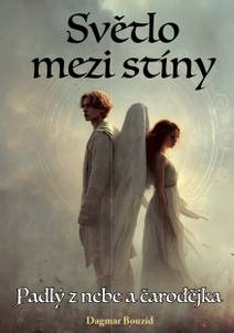 Obálka Světlo mezi stíny: Padlý z nebe a čarodějka