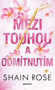 Obálka Mezi touhou a odmítnutím