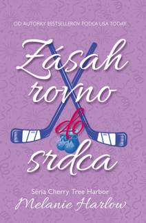 Obálka Zásah rovno do srdca