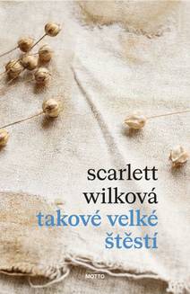 Obálka Takové velké štěstí