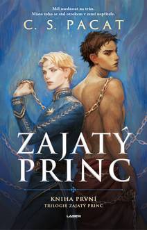 Obálka Zajatý princ