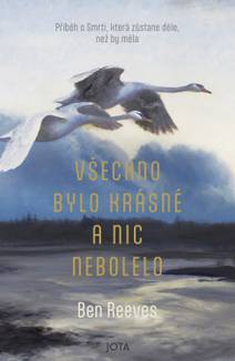 Obálka Všechno bylo krásné a nic nebolelo