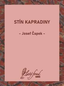 Obálka Stín kapradiny