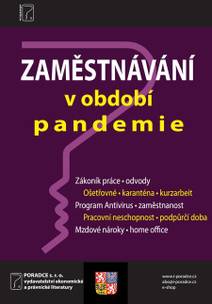 Obálka Zaměstnávání v období pandemie
