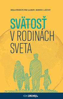 Obálka Svätosť v rodinách sveta