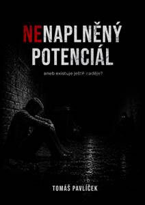 Obálka Nenaplněný potenciál aneb existuje ještě naděje?