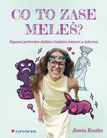 Obálka Co to zase meleš? Kapesní průvodce dalšími českými frázemi a úslovími