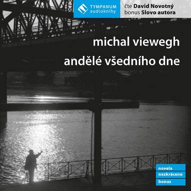 Audiokniha Andělé všedního dne - David Novotný, Michal Viewegh
