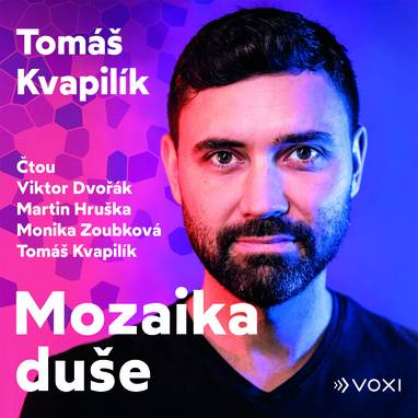 Audiokniha Mozaika duše - Tomáš Kvapilík, Viktor Dvořák, Monika Zoubková, Martin Hruška, Tomáš Kvapilík