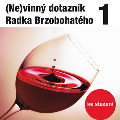 Audiokniha (Ne)vinný dotazník Radka Brzobohatého 1. - Radoslav Brzobohatý, Radoslav Brzobohatý