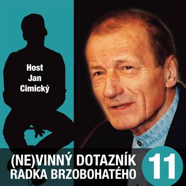 Audiokniha (Ne)vinný dotazník Radka Brzobohatého 11. - Radoslav Brzobohatý, Radoslav Brzobohatý