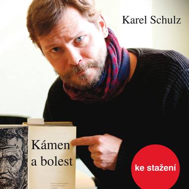 Audiokniha Kámen a bolest - Karel Schulz, Marek Holý