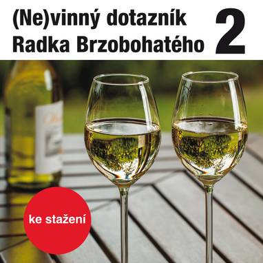 Audiokniha (Ne)vinný dotazník Radka Brzobohatého 2. - Radoslav Brzobohatý, Radoslav Brzobohatý