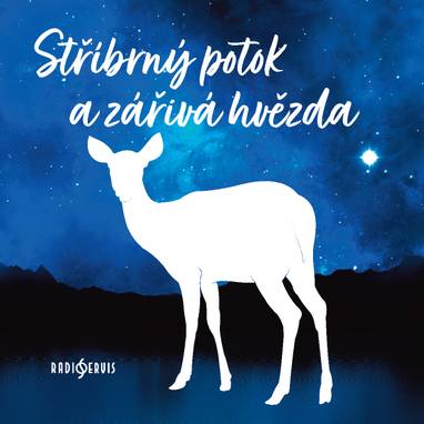 Audiokniha Stříbrný potok a zářivá hvězda - Karel Beníško, Miroslava Špánková-Hozová, Svatopluk Skládal, Zdeněk Kutil, Vladimír Brabec, Petr Svojtka, Václav Mareš, Drahomíra Měsková