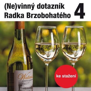 Audiokniha (Ne)vinný dotazník Radka Brzobohatého 4. - Radoslav Brzobohatý, Radoslav Brzobohatý