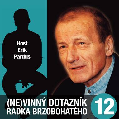 Audiokniha (Ne)vinný dotazník Radka Brzobohatého 12. - Radoslav Brzobohatý, Radoslav Brzobohatý