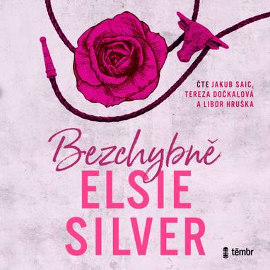 Audiokniha Bezchybně - Jakub Saic, Tereza Dočkalová, Libor Hruška, Elsie Silver