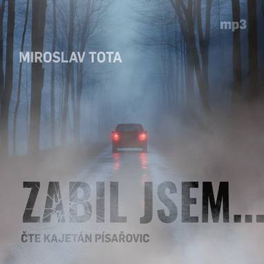 Audiokniha Zabil jsem... - Kajetán Písařovic, Miroslav Tota