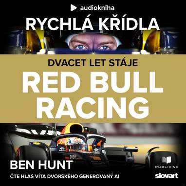 Audiokniha Rychlá křídla - Vít Dvorský, Ben Hunt