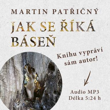 Audiokniha Jak se říká báseň - Martin Patřičný, Martin Patřičný