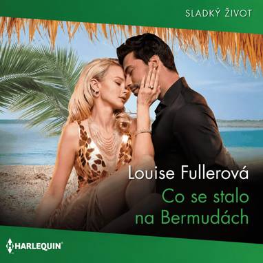 Audiokniha Co se stalo na Bermudách - Elredo Voice AI hlas, Louise Fullerová