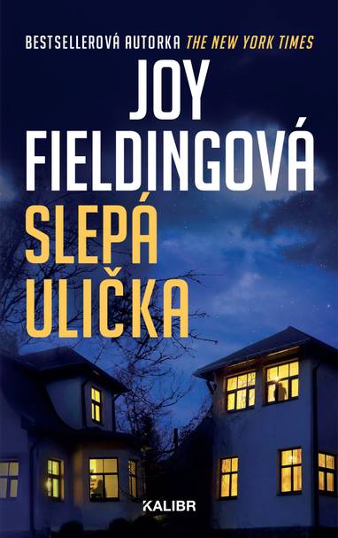 E-kniha Slepá ulička - Joy Fieldingová