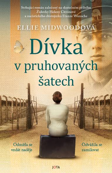 E-kniha Dívka v pruhovaných šatech - Ellie Midwoodová