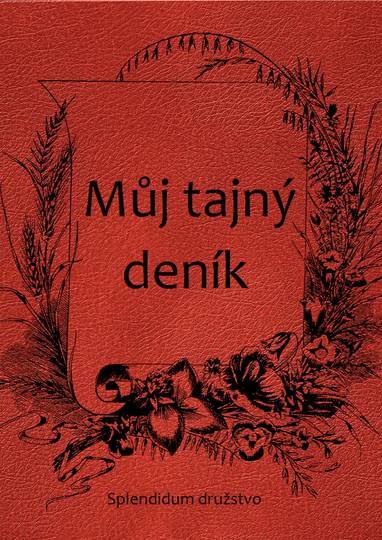 E-kniha Můj tajný deník - neznámý autor