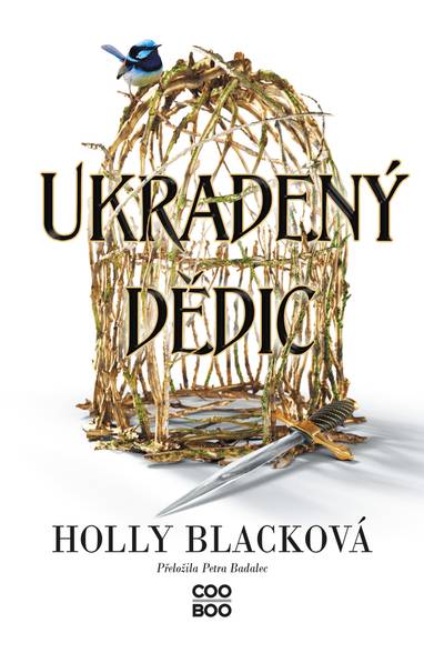 E-kniha Ukradený dědic - Holly Black