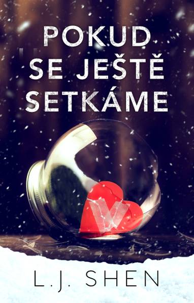 E-kniha Pokud se ještě setkáme - L. J. Shen