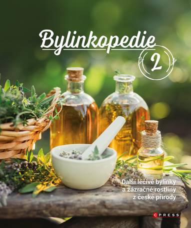 E-kniha Bylinkopedie 2 - Martin Chvapil