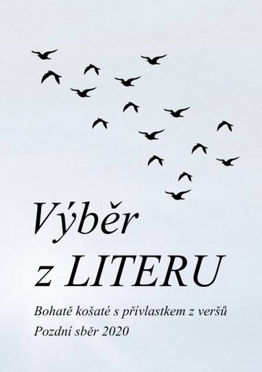 E-kniha Výběr z LITERU - Kolektiv autorů a autorek