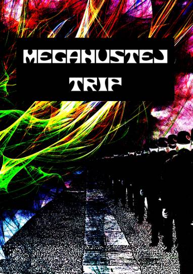 E-kniha Megahustej trip - Martin Koláček