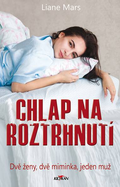 E-kniha Chlap na roztrhnutí - Liane Mars