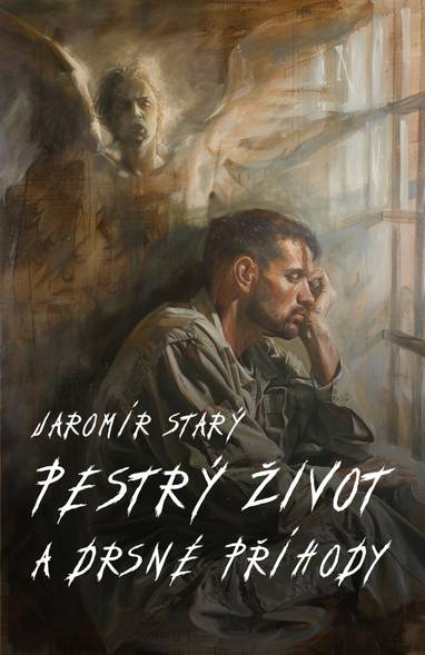 E-kniha Pestrý život a drsné příhody - Jaromír Starý
