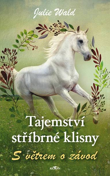 E-kniha S větrem o závod - Julie Wald