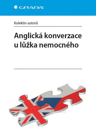 E-kniha Anglická konverzace u lůžka nemocného - kolektiv autorů
