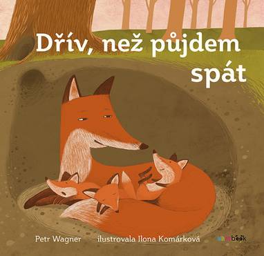E-kniha Dřív než půjdem spát - Ilona Komárková, Petr Wagner