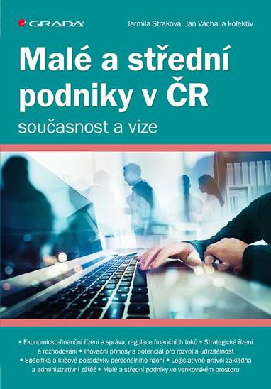 E-kniha Malé a střední podniky v ČR – současnost a vize - Jarmila Straková