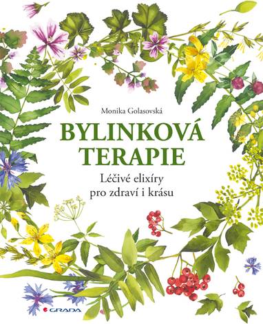 E-kniha Bylinková terapie - Monika Golasovská