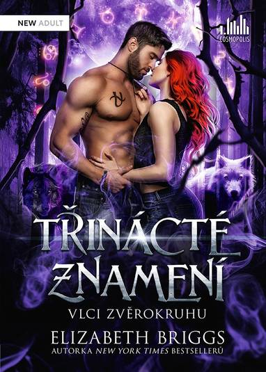 E-kniha Třinácté znamení - Elizabeth Briggsová