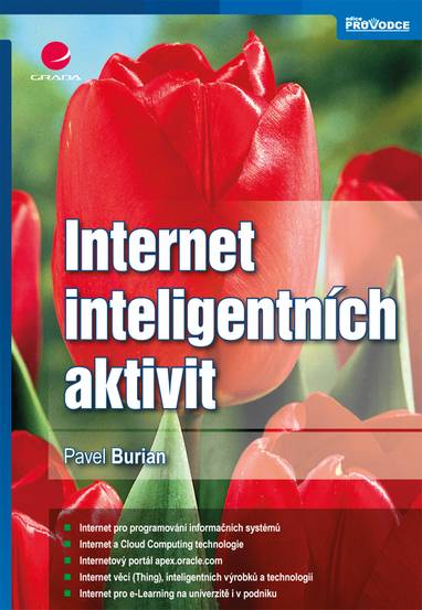 E-kniha Internet inteligentních aktivit - Pavel Burian