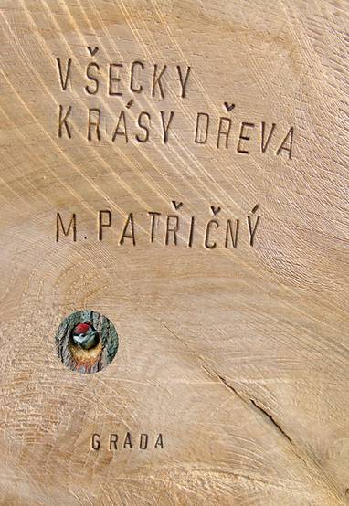 E-kniha Všecky krásy dřeva - Martin Patřičný