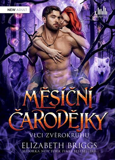 E-kniha Měsíční čarodějky - Elizabeth Briggsová