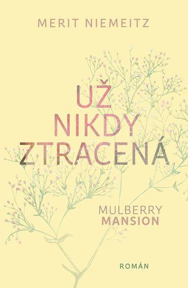E-kniha Už nikdy ztracená - Merit Niemeitz