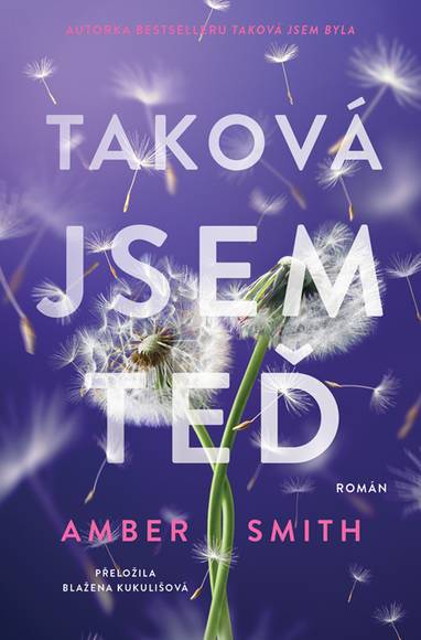 E-kniha Taková jsem teď - Amber Smith